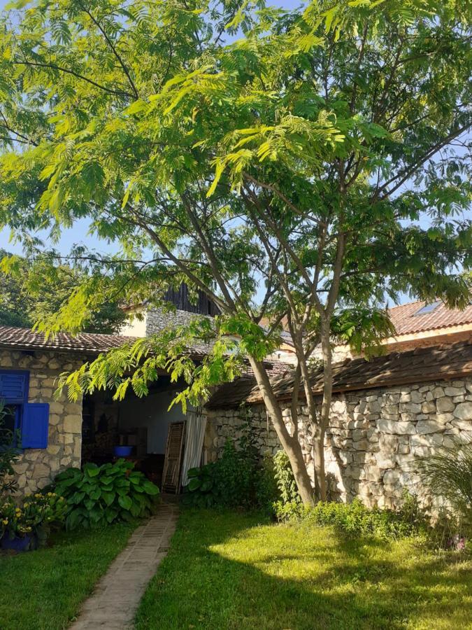 Villa Casa Anca Cheile Nerei Sokolar Exterior foto