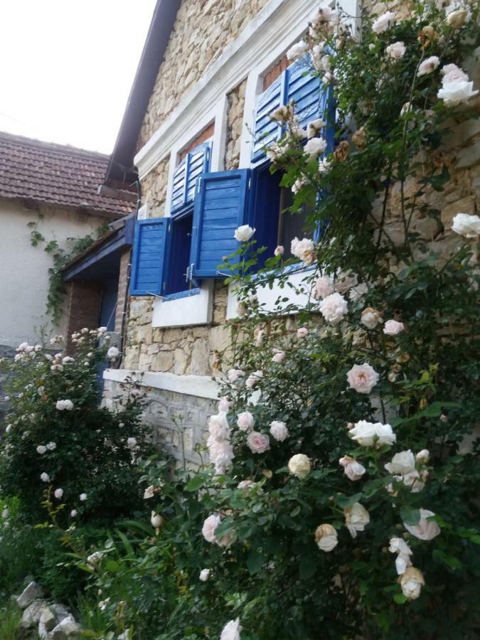 Villa Casa Anca Cheile Nerei Sokolar Exterior foto